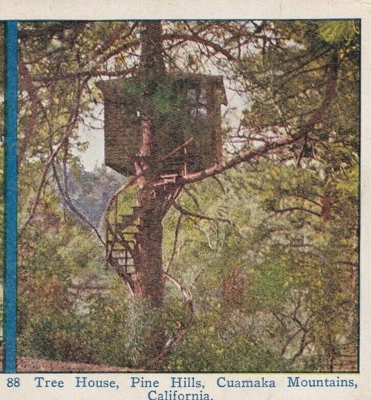 Vtg Stereoview Pine Hills Cuamaka Mountains California Tree House