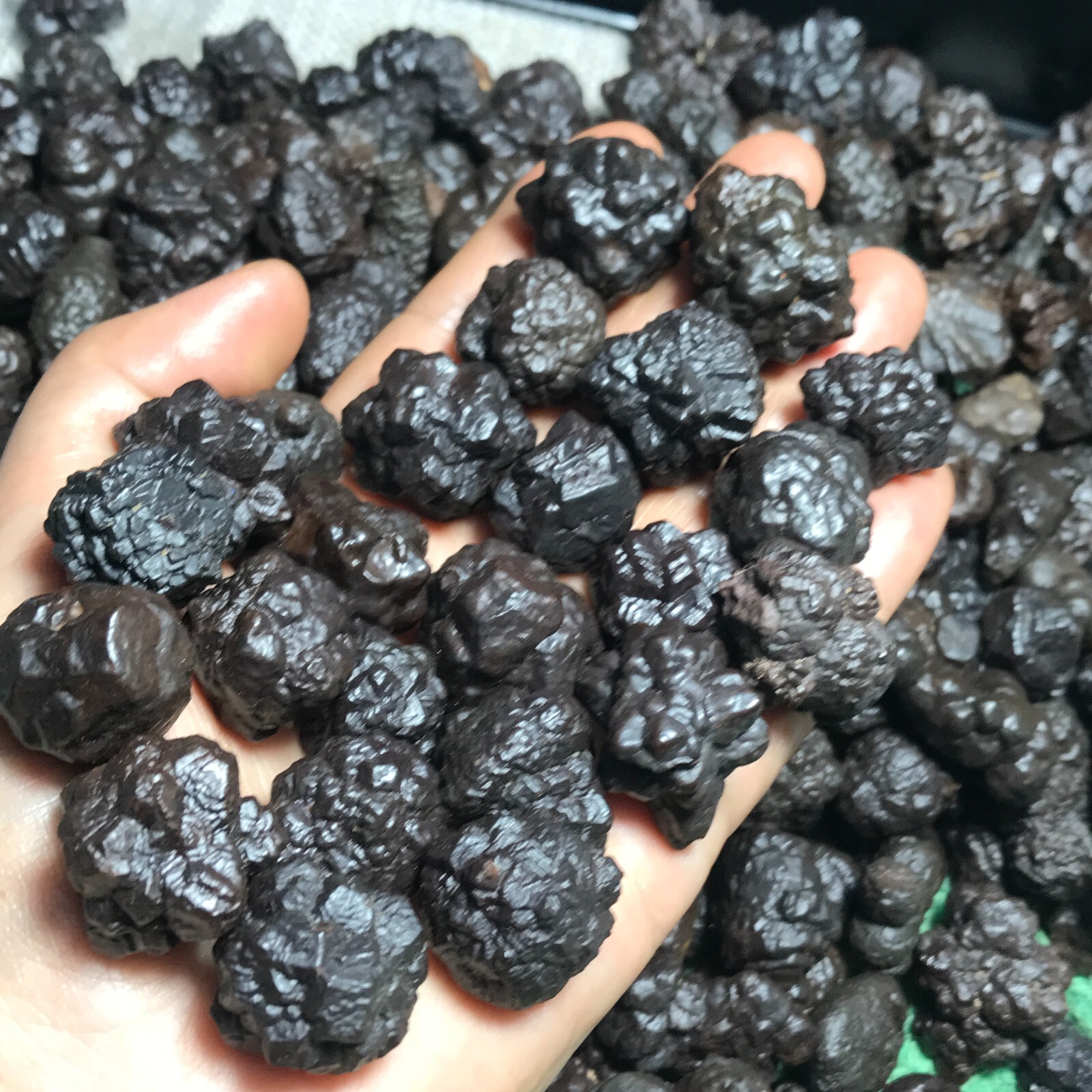 1000g 50PCS Natural Egypt desert stone black king kong Pinecone Prophecy stone