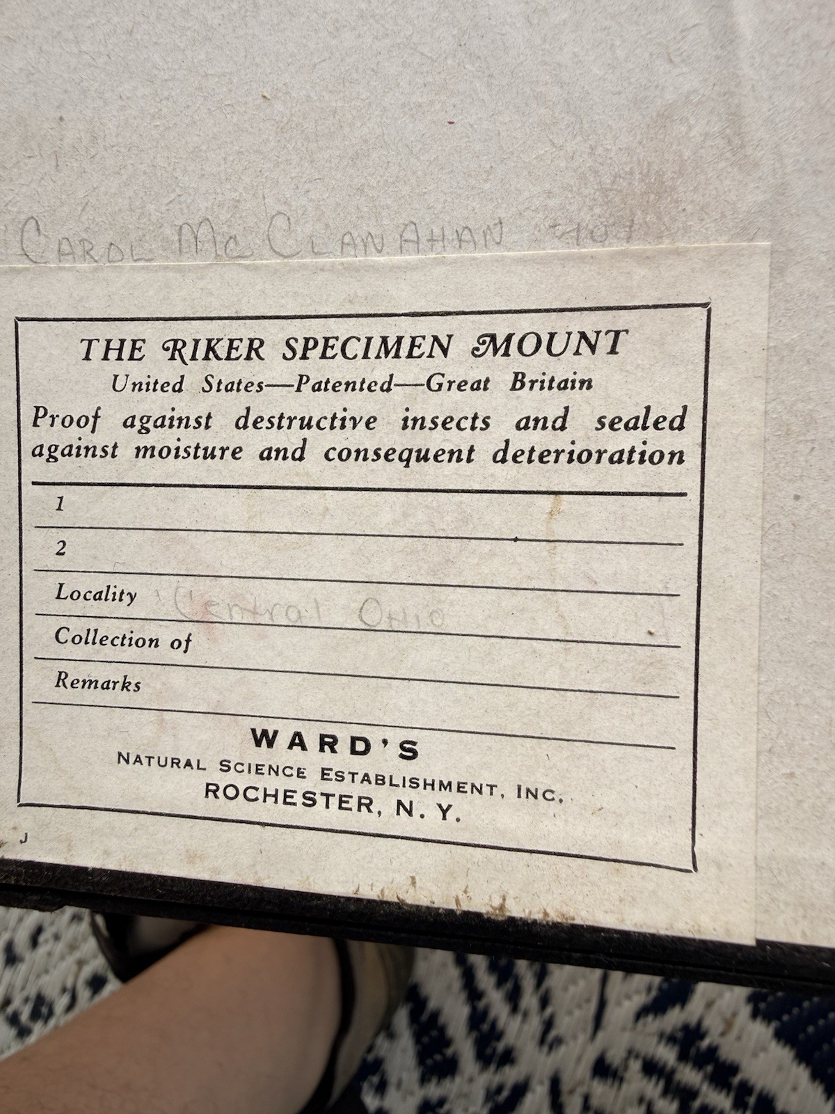 Vintage Ward’s Riker Insect Specimen Mount Ohio Butterfly Beetles Oddity 461L