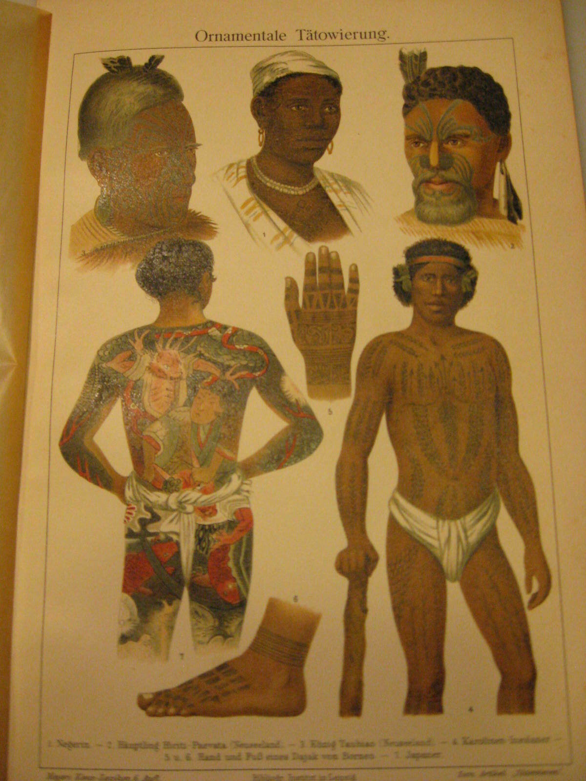 Tattoo Ornamental Antique Woodblock Print from 1912 with Report Original Plaque