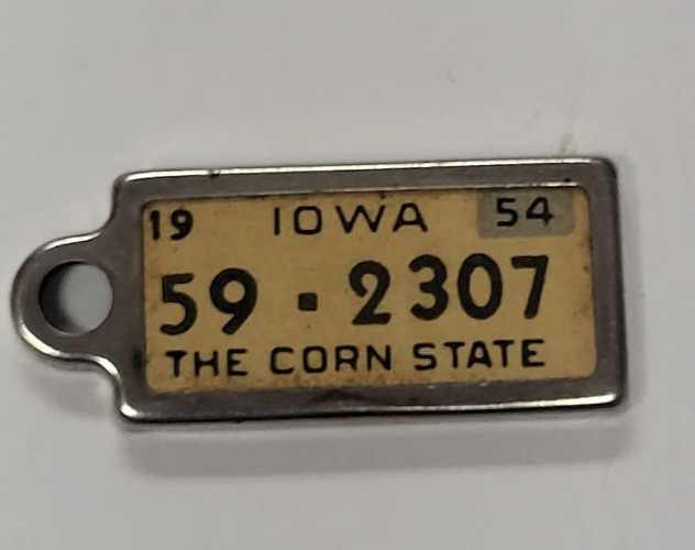 Vintage 1954 DAV Iowa License Plate Keychain Tag Fob 59-2307