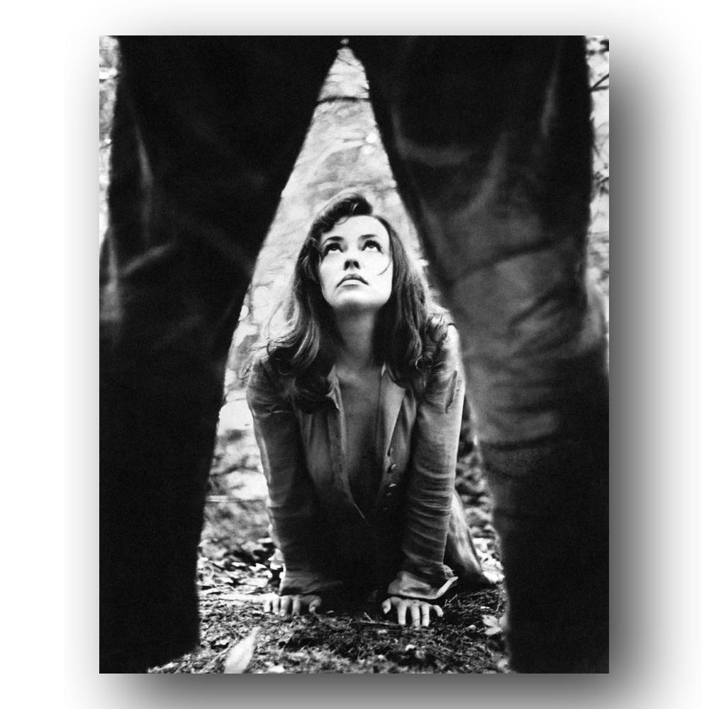 Jeanne Moreau Photo 8x10 Mademoiselle 1966 French Actress Publicity Still