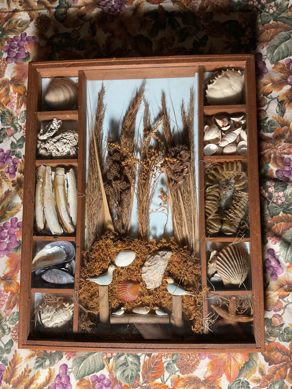 Vtg Wooden Seashell Shadow Box Coastal Diorama Seashells & Natural Specimens  D4