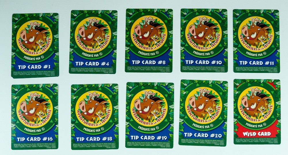 Rare DISNEY WILD ABOUT SAFETY Cards Disneyland Paris French L1