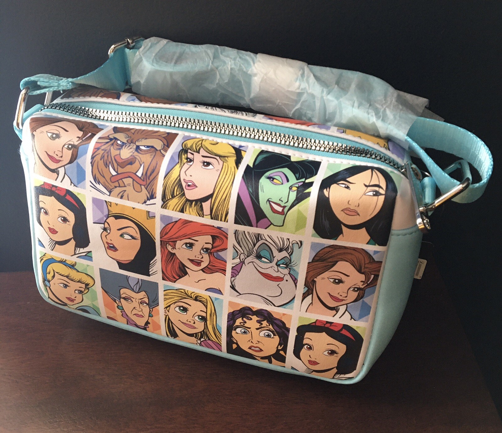 Disney Princess/Villain Crossbody