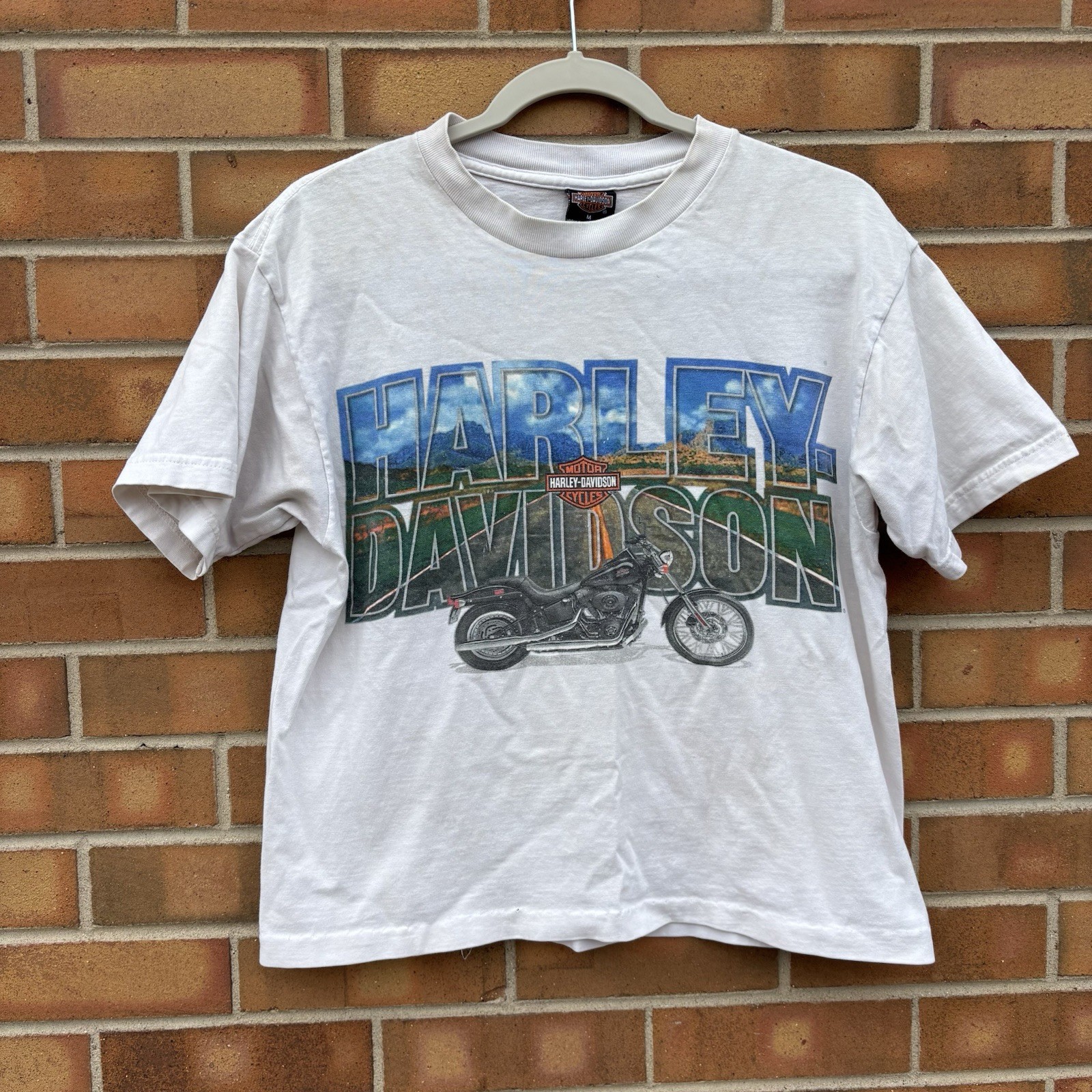 Vtg Chicks Harley Davidson White T Shirt Sz M Albuquerque Double Sided Print
