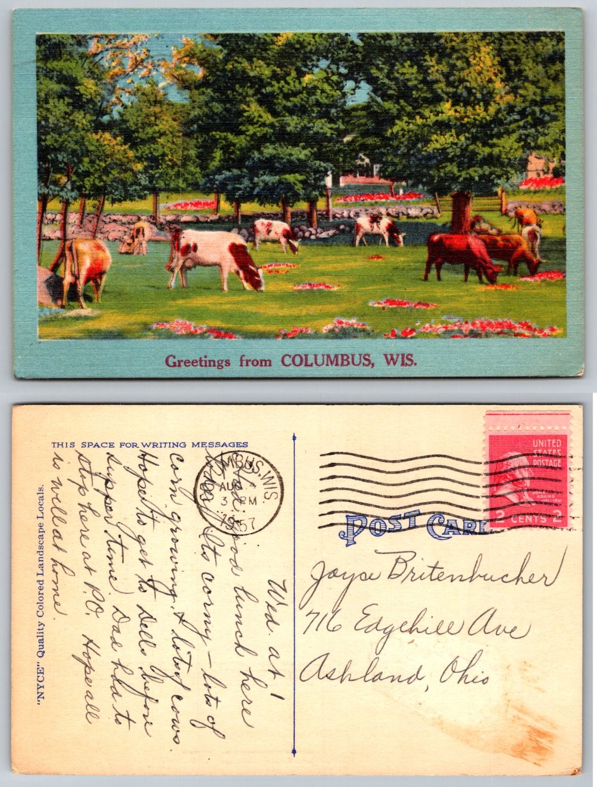 Greetings from Columbus Wisconsin Large Letter Cows Postcard
