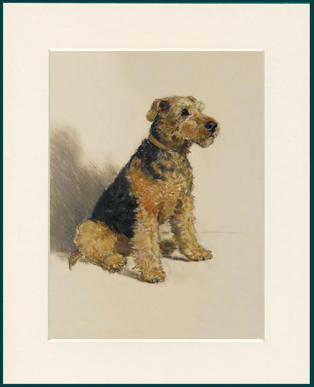 WELSH TERRIER CHARMING DOG PRINT MOUNTED READY TO FRAME