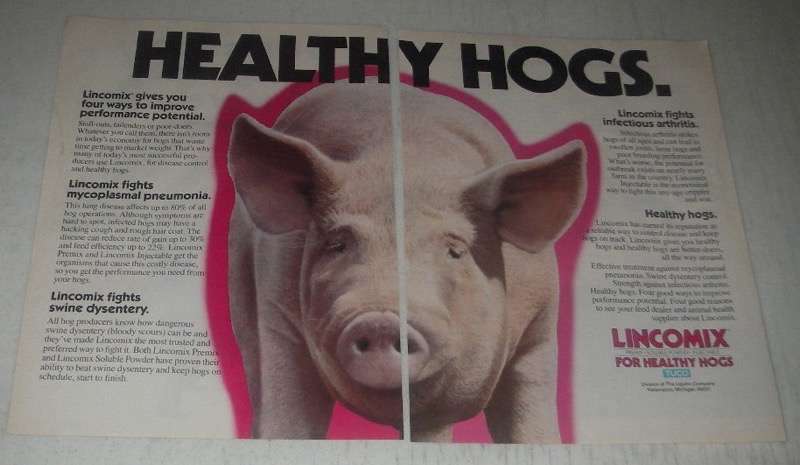 1985 Tuco Lincomix Ad - Healthy Hogs