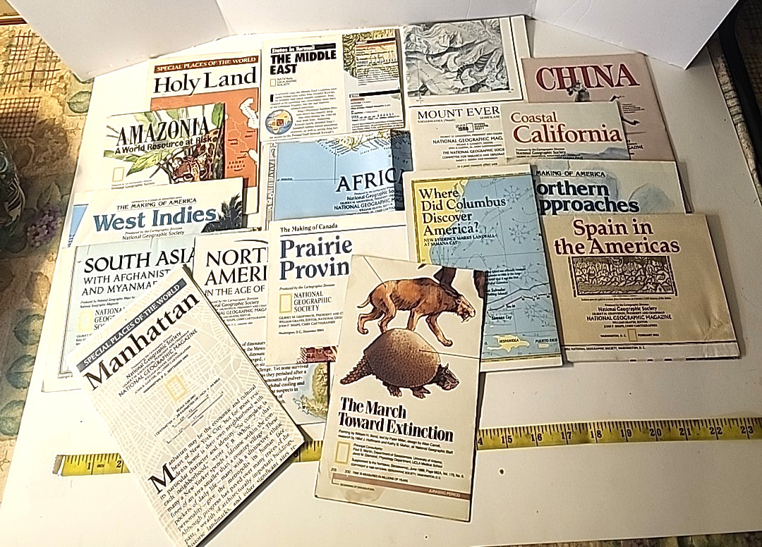 National Geographic Maps Africa Holy Land Amazonia China and more Lot of 16