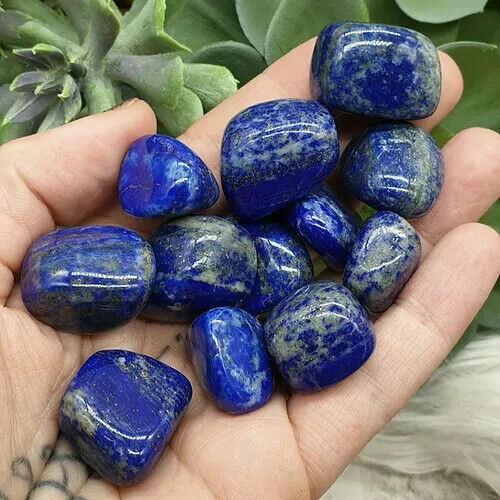 3Pc Natural Lapis Lazuli Tumble Pocket Stone Chakra Polished Crystal Minerals