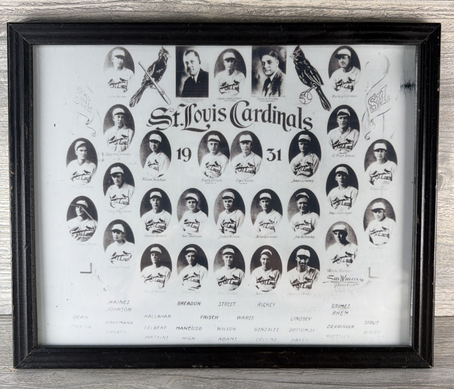 1931 St. Louis Cardinals Team Picture Dizzy Dean Breadon Rickey Mancuso Framed