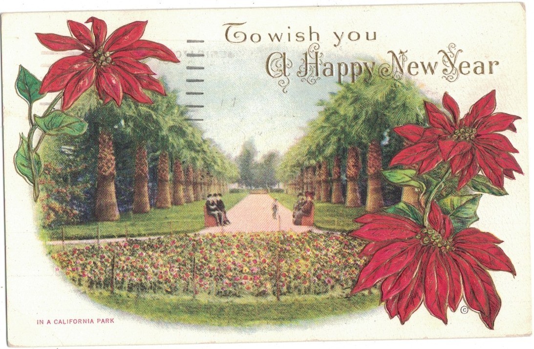 To Wish You A Happy New Year California Park Embossed Poinsettia 1961 Postcard