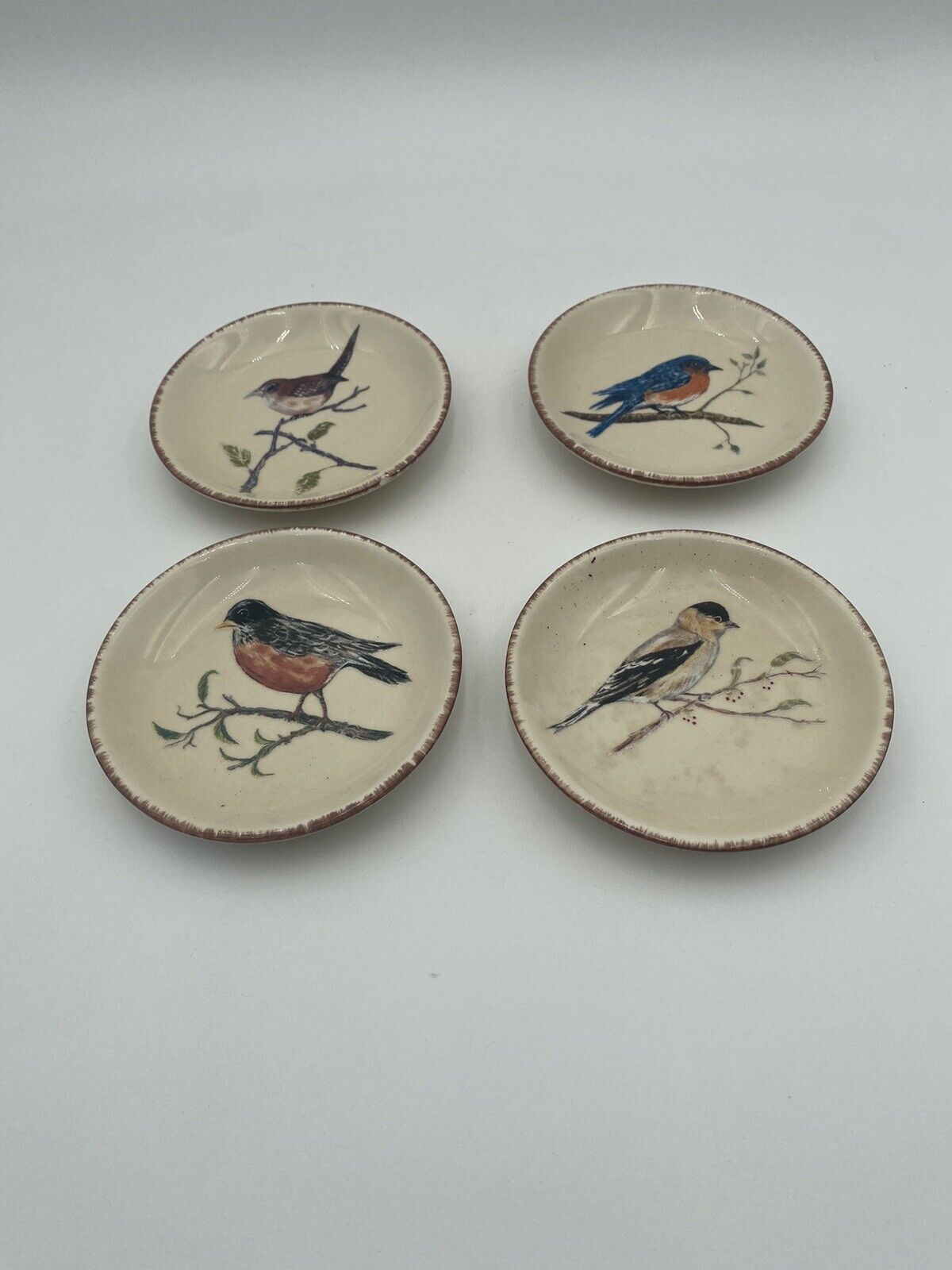 Backyard Birds Ceramic Display Plate Set Of 4