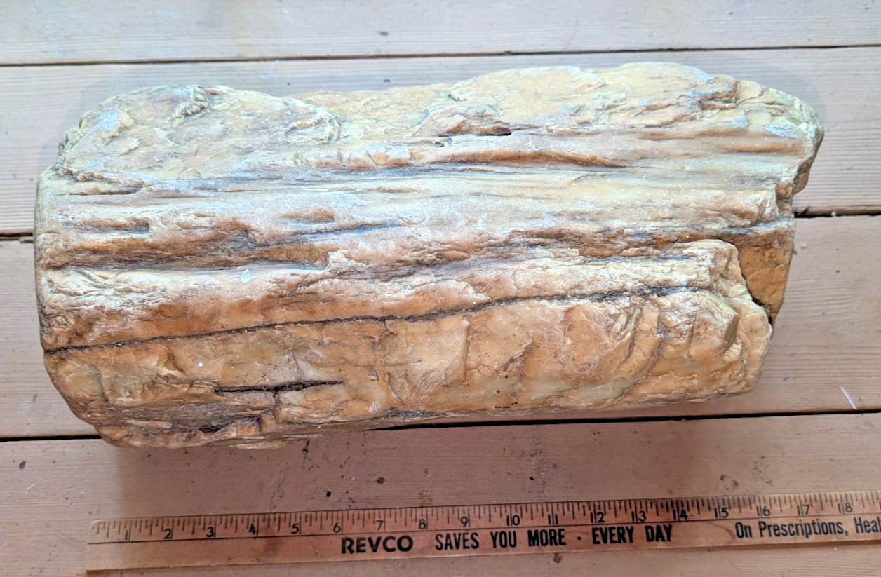 Huge 55 pound Petrified Wood or Rock Huge 55 pound Petrified Wood or Rock