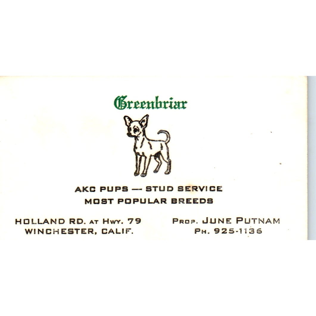 Greenbriar AKC Pups June Putnam Winchester CA Vintage Business Card SD8-B15