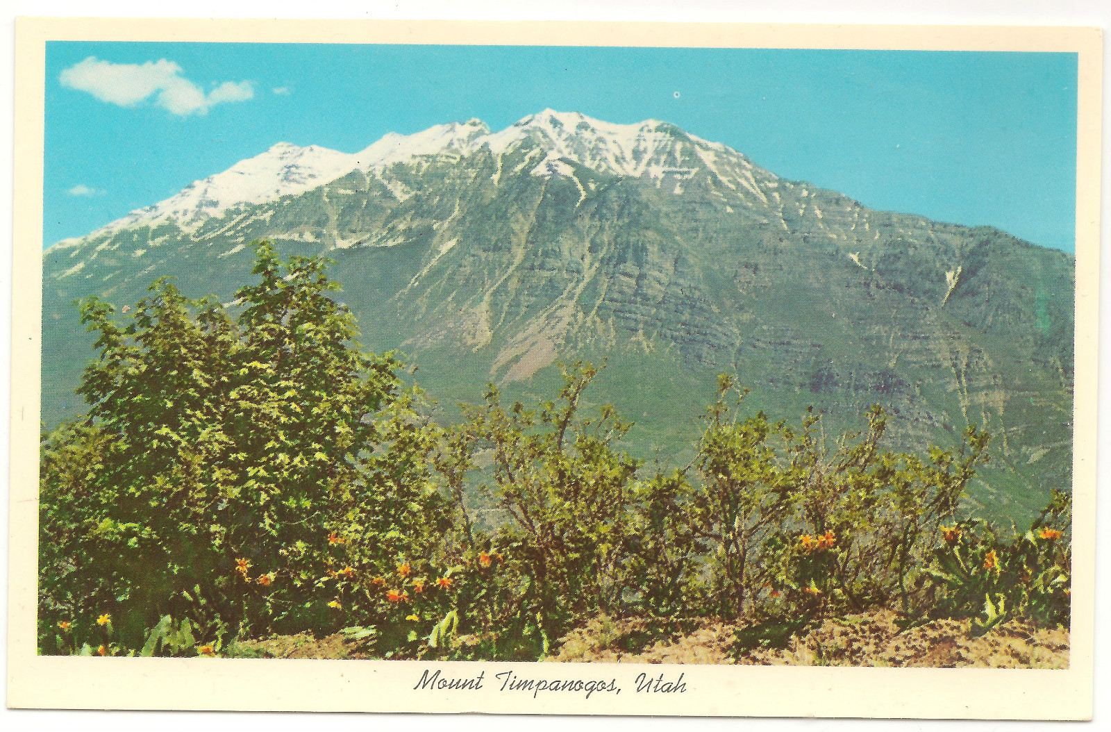 Mt. Timpanogos, Near Provo, Utah Unused/Unposted Vintage c1950\'s Postcard