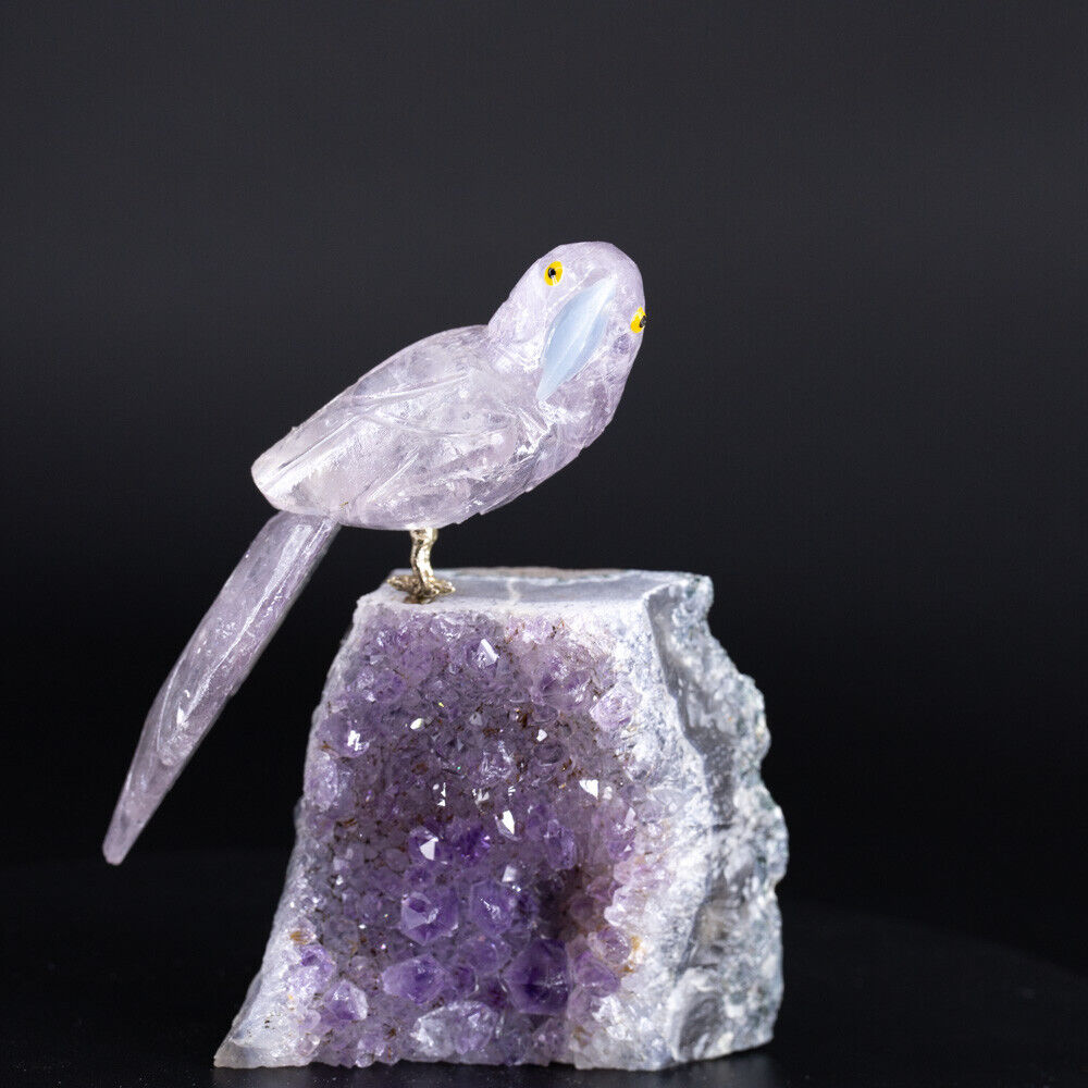 Brazil Crystal Quartz Gem DIY Bird Craft Gift Collection Parrot Tabletop A347