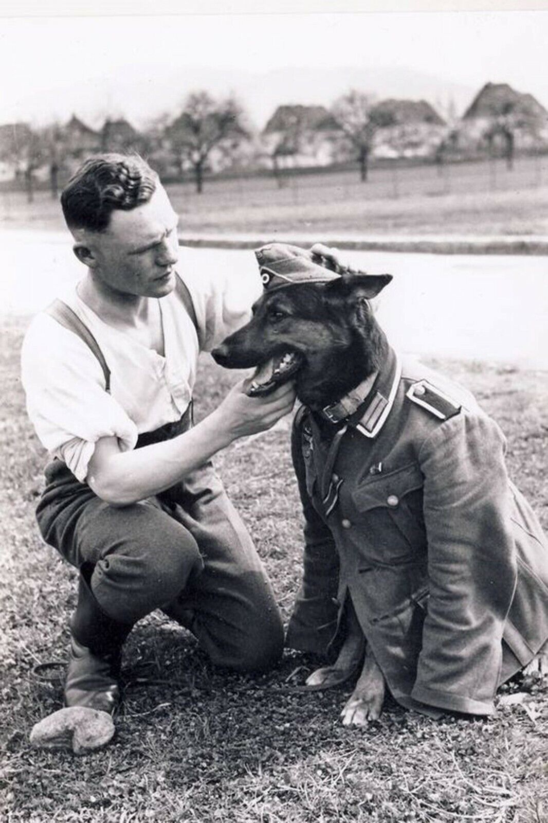 german shepherd and soldier in military uniform WW2 Photo Glossy 4*6 in L015
