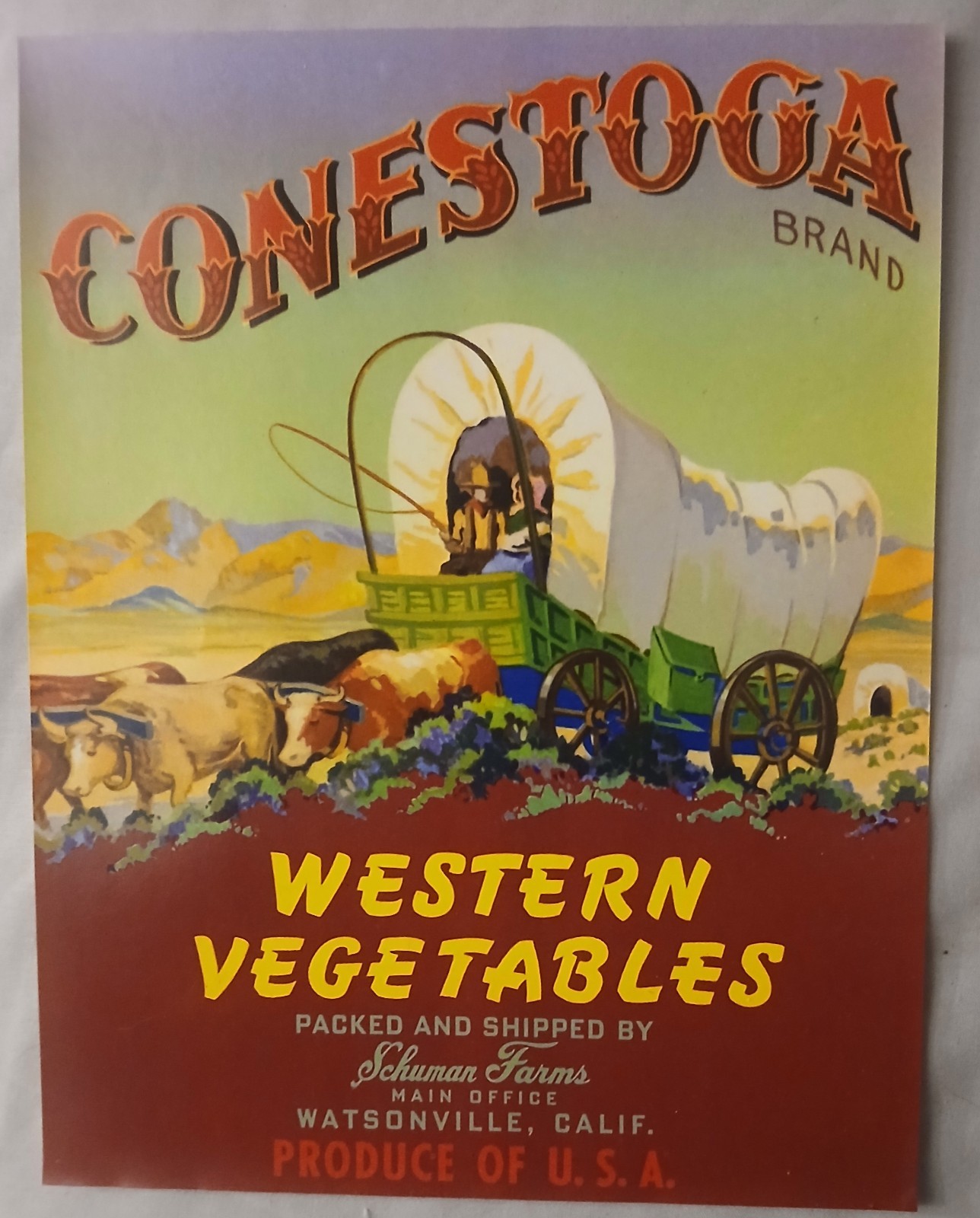 ORIGINAL VINTAGE CRATE LABEL CONESTOGA COVERED WAGON WATSONVILLE WESTERN
