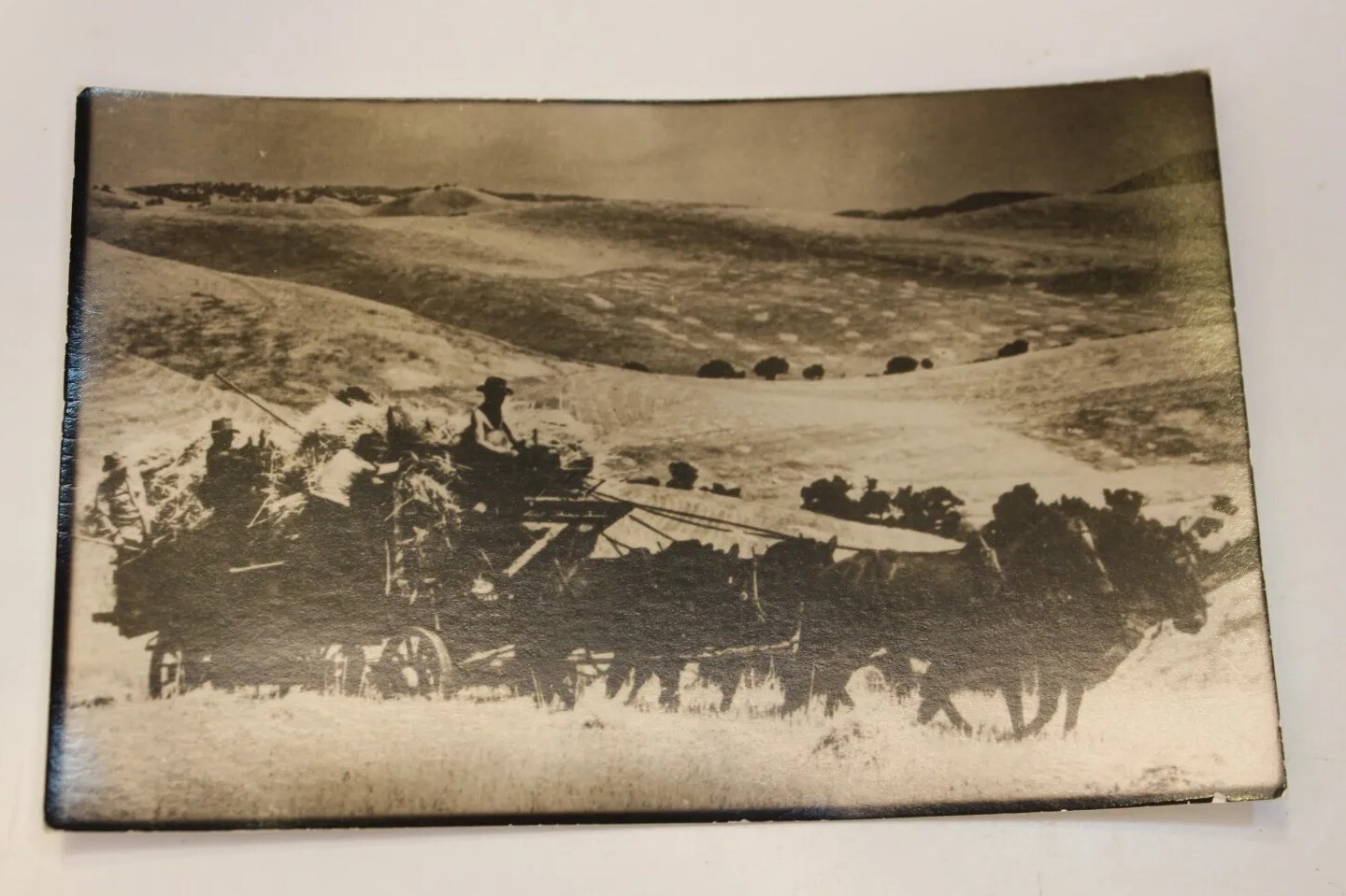 Vintage RPPC Carmel Valley California Bertha Ranch Circa 1940 CVHS Postcard B Vintage RPPC Carmel Valley California Bertha Ranch Circa 1940 CVHS Postcard B