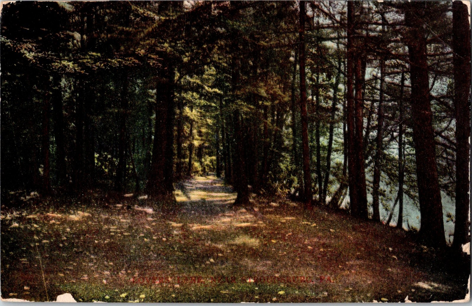 Lovers Lane Lynchburg Virginia 1908 Postcard Lovers Lane Lynchburg Virginia 1908 Postcard