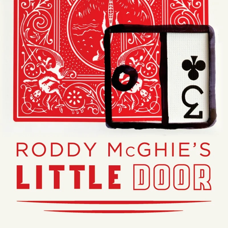 LITTLE DOOR BY RODDY MCGHIE: A Magical Tale Brought to Life