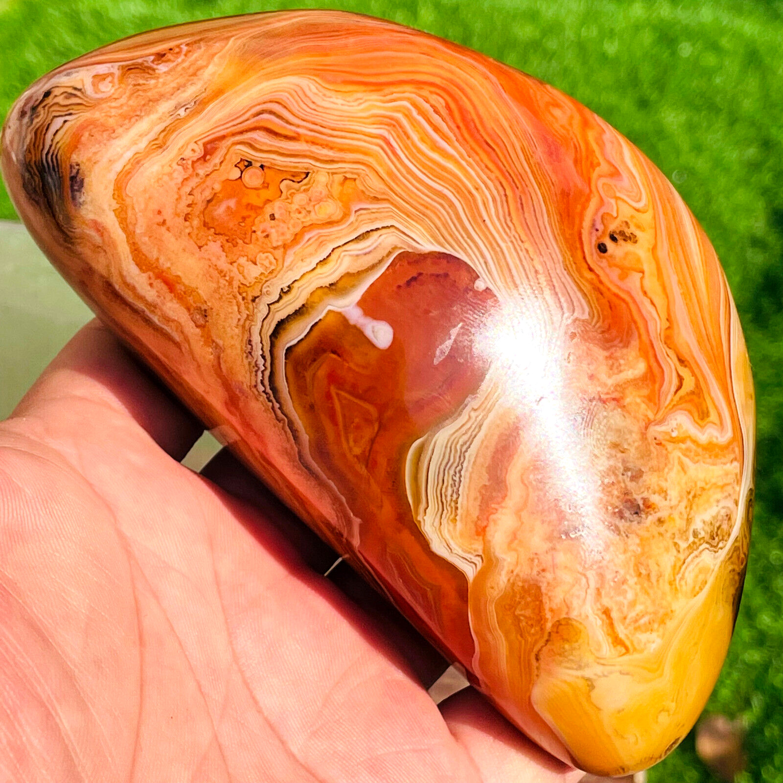 605g Top Natural Red And Black Ｍagic Lace Agate Crystal Palm stone Specimen