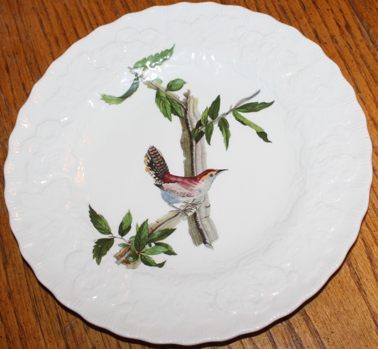 ALFRED MEAKIN BIRDS OF AMERICA 8.75\