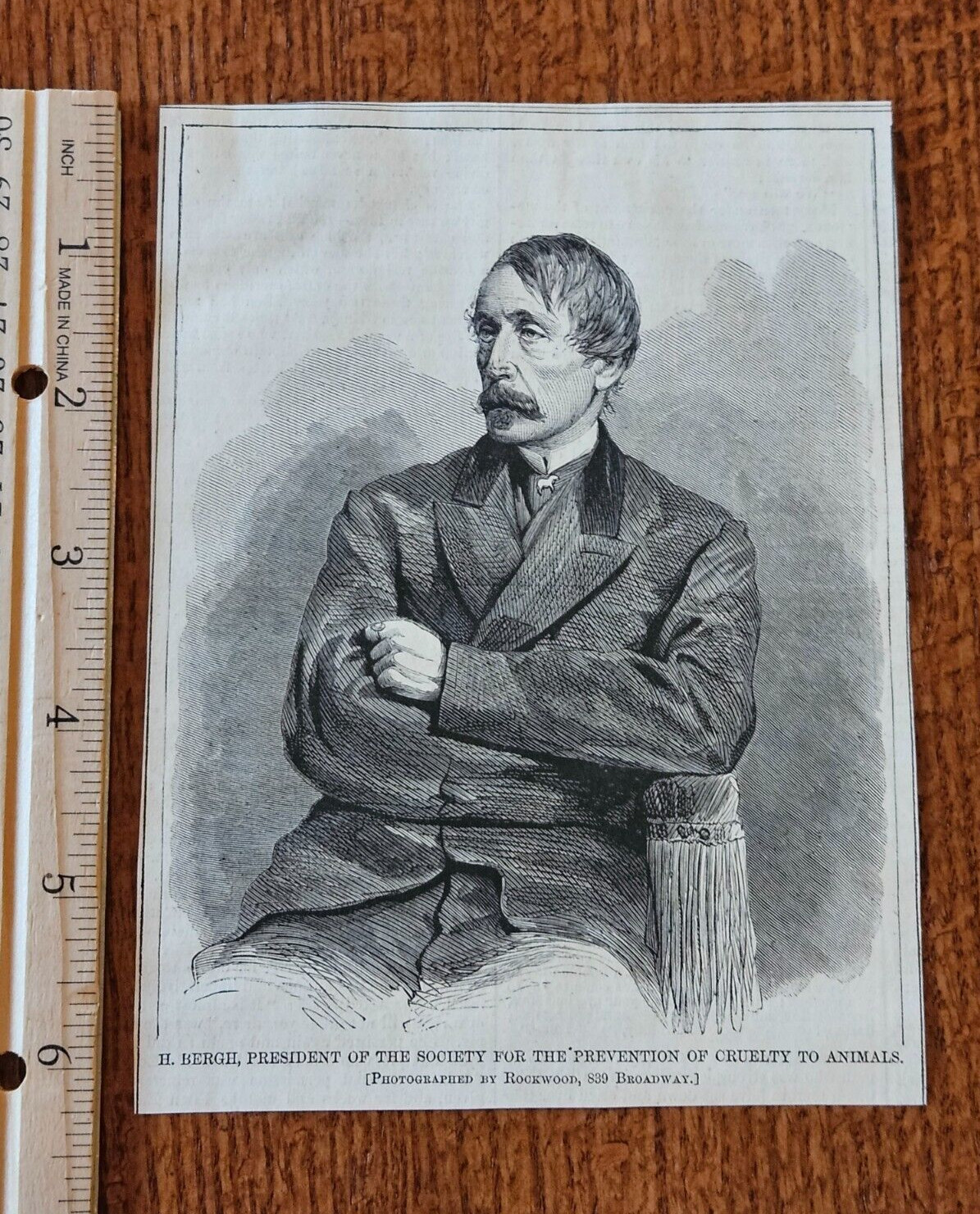 HW 1867 Sketch Print H Bergh President Society for Prevention of Cruelty Animals