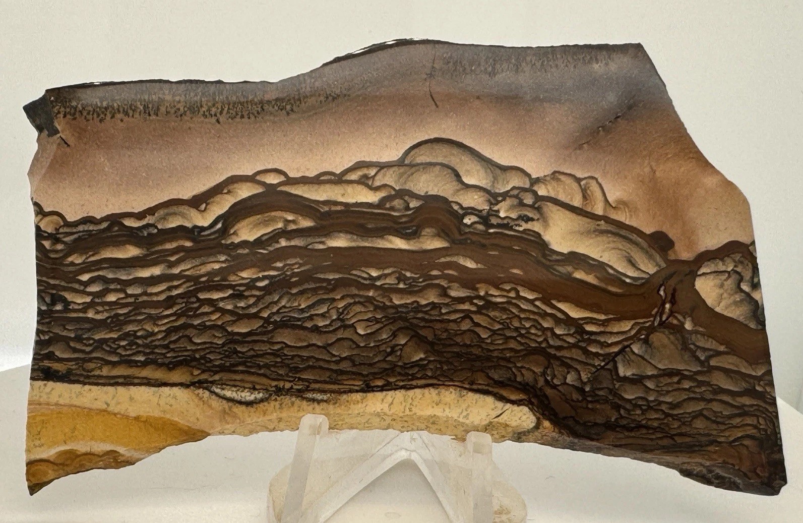 Blue/Pink Biggs Picture Jasper polished, old stock