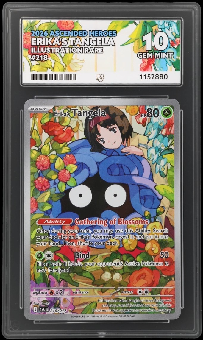 2026 - Erika’s Tangela - Ascended Heroes - 218/217 - Illustration Rare ACE 10