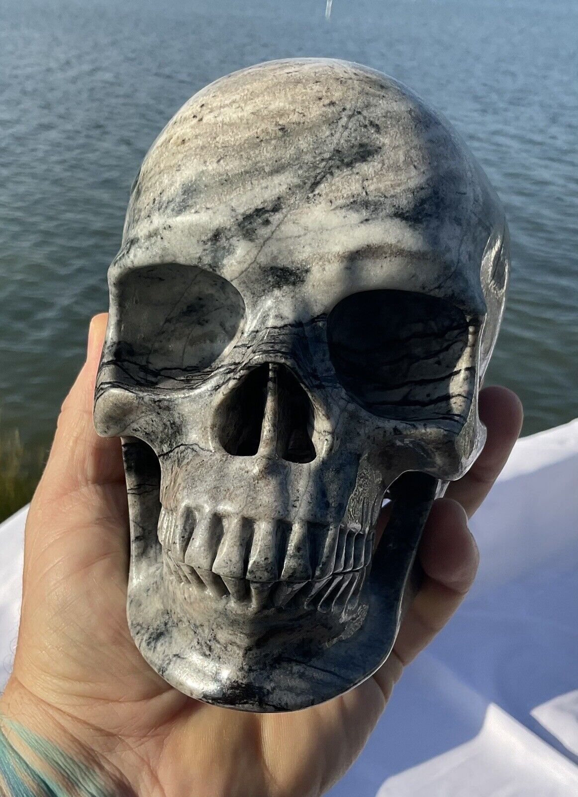 Black Network Jasper Crystal Skull, Massive 7 Lbs, Master Lifelike Carving.