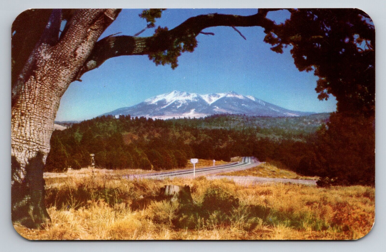 Snow Covered San Francisco Peaks Near Flagstaff Arizona Unposted Postcard