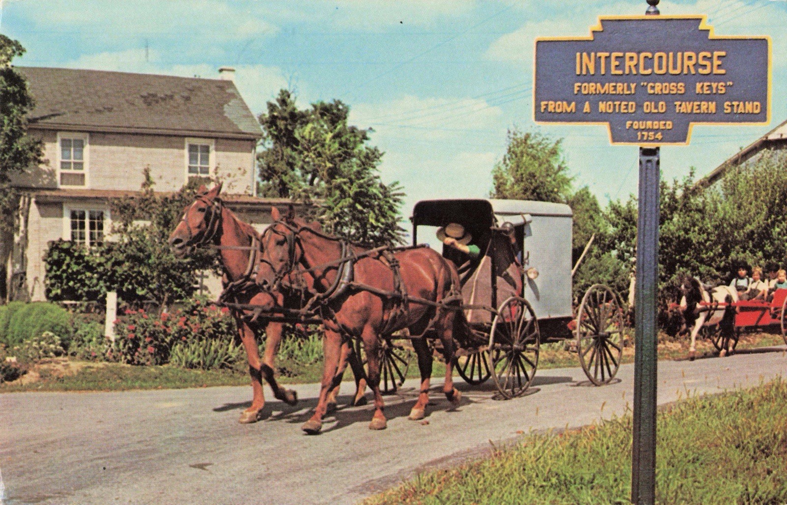 Vintage Amish Country Intercourse PA Horse Buggy Postcard by James E. Hess