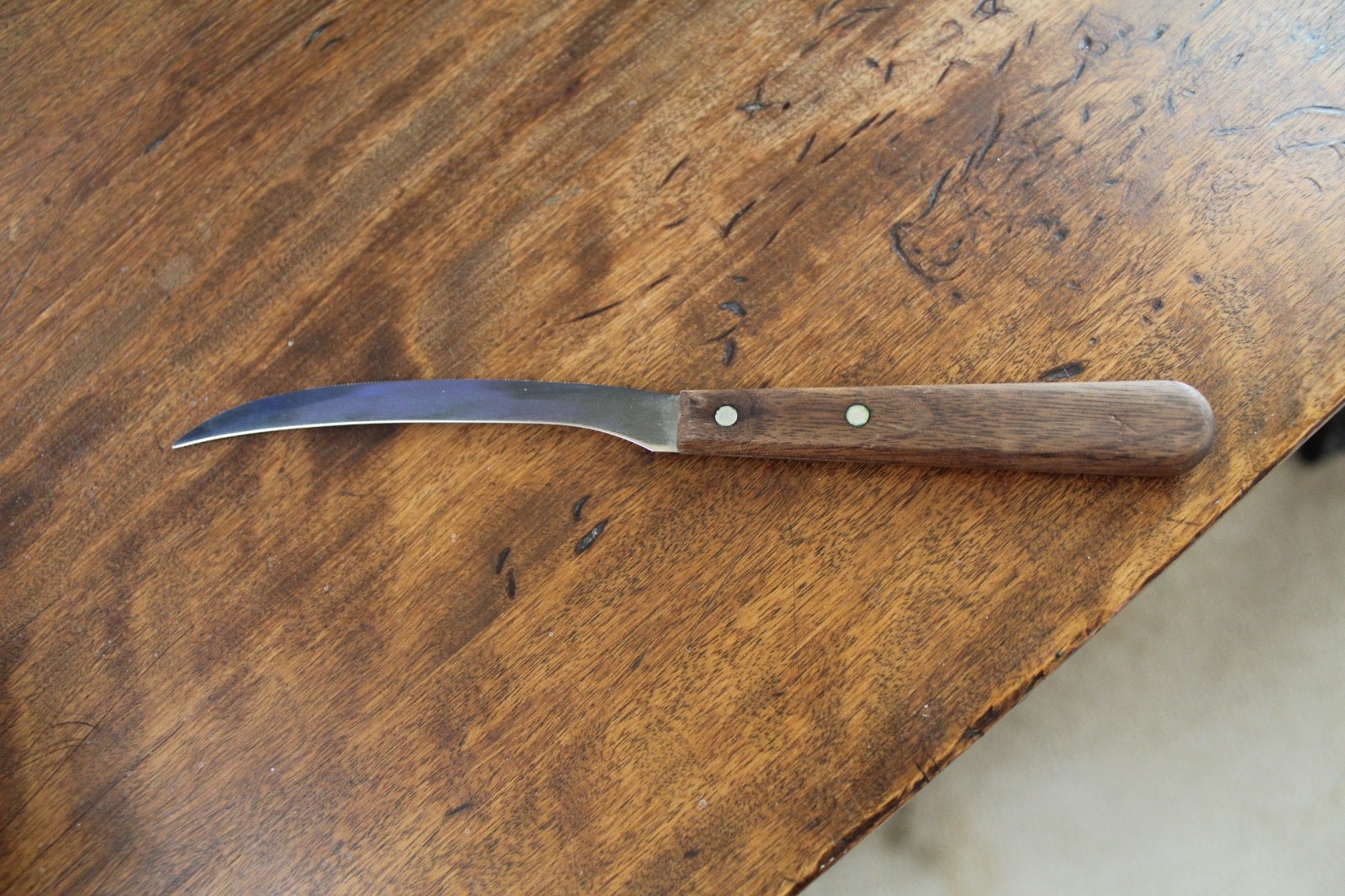 ... Case XX .. 6210-5 same as p210 Freddy Krueger glove prop 8.5\