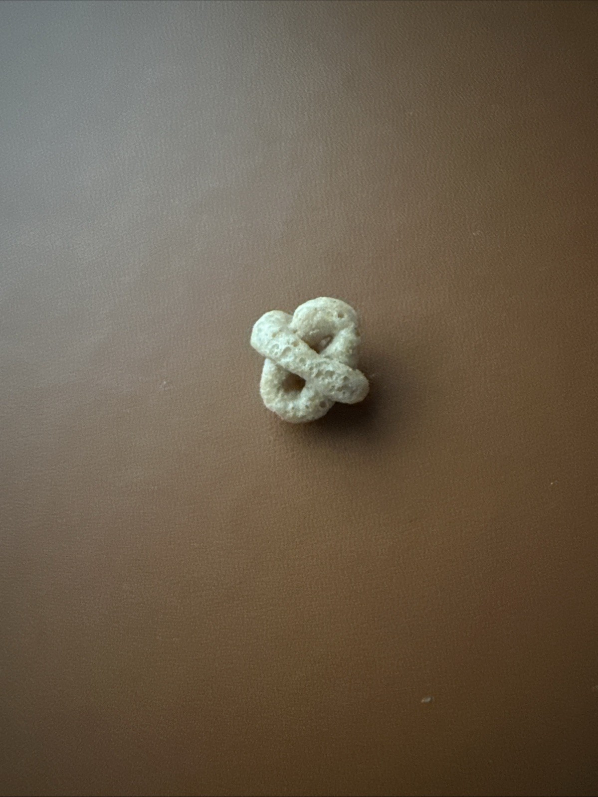 Infinity Cheerio Two Cheerios Stuck Together, One Inside Other. 2025. Infinity Cheerio Two Cheerios Stuck Together, One Inside Other. 2025.