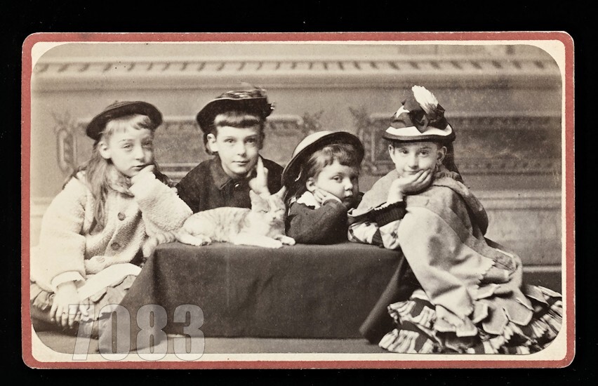 Excellent Little Girls & Cat Massachusetts 1800s Antique CDV Photo Kitten Cute