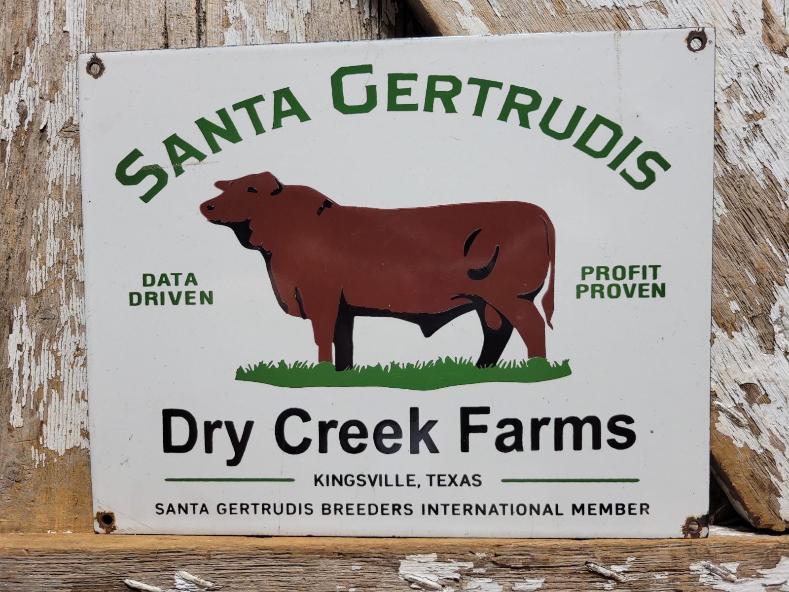 VINTAGE CATTLE RANCH PORCELAIN SIGN OLD SANTA GERTRUDIS TEXAS COW BREEDERS RODEO