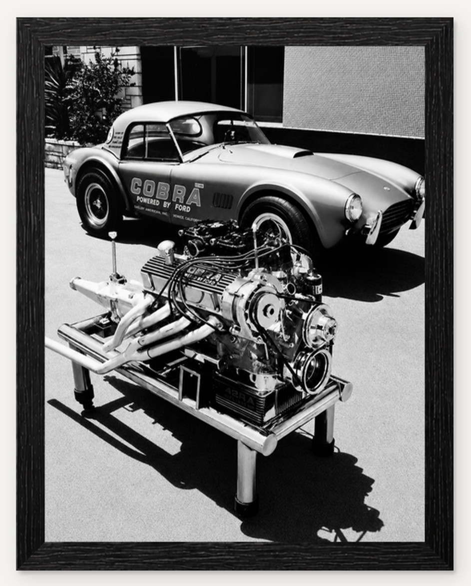 12X9.5 FRAMED 1965 SHELBY AMERICAN COBRA 289 DRAGONSNAKE PHOT REPRODUCTION PRINT