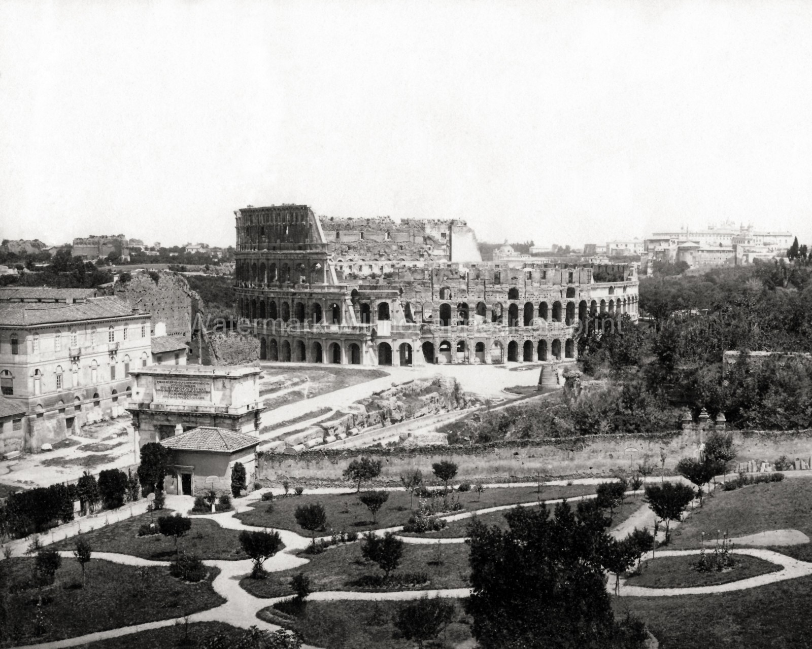 Rome Italy Colosseum Ancient Ruins Amphitheater Landmark Vtg. Photo 19thC.