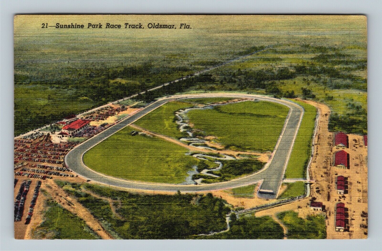 Oldsmar FL Aerial View Sunshine Park Race Course Florida c1949 Vintage Postcard