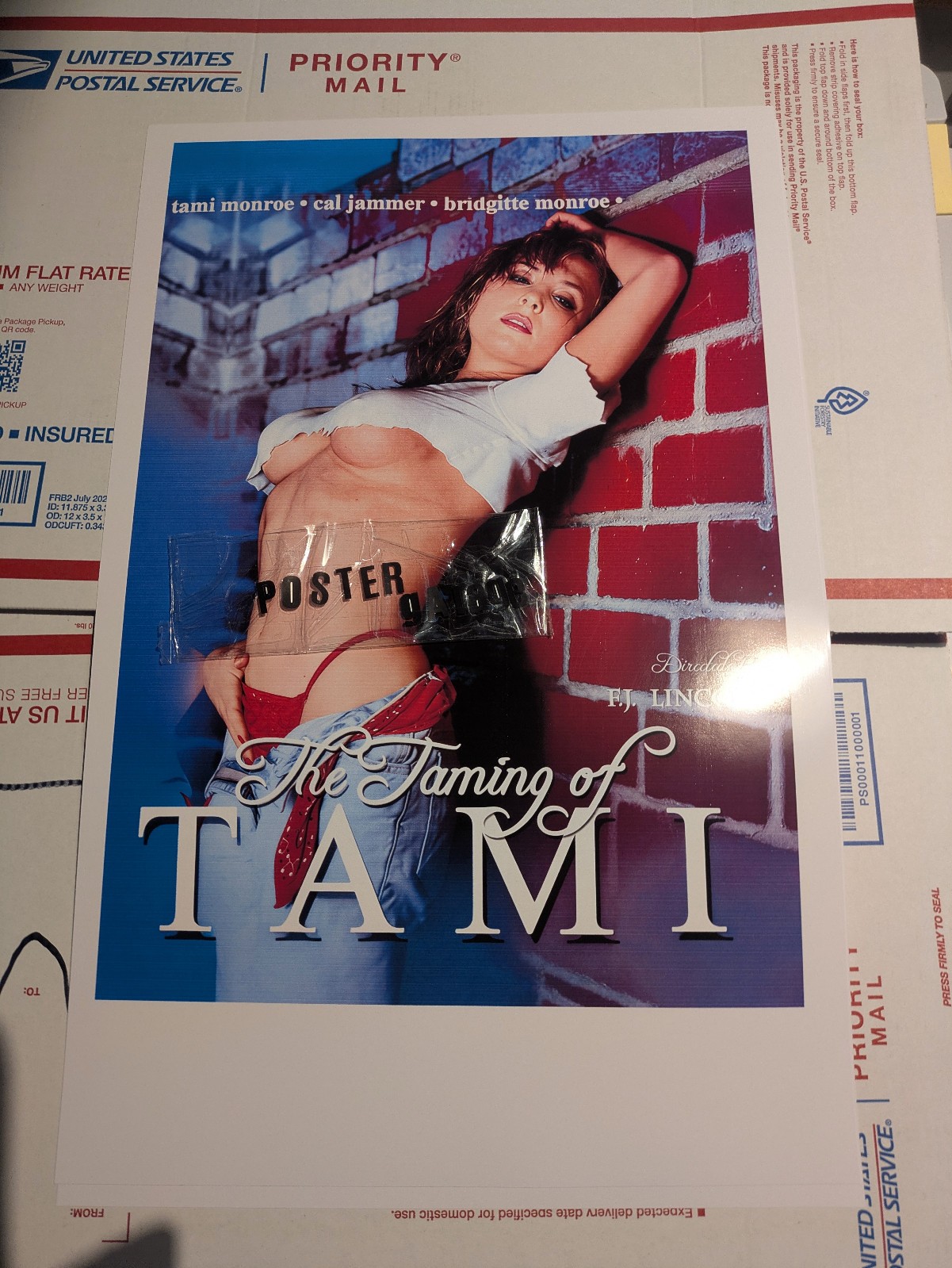 Adult Pin-Up Ad Promo Poster 11X14 GLOSSY Taming of Tami (Tami Monroe) Adult Pin-Up Ad Promo Poster 11X14 GLOSSY Taming of Tami (Tami Monroe)