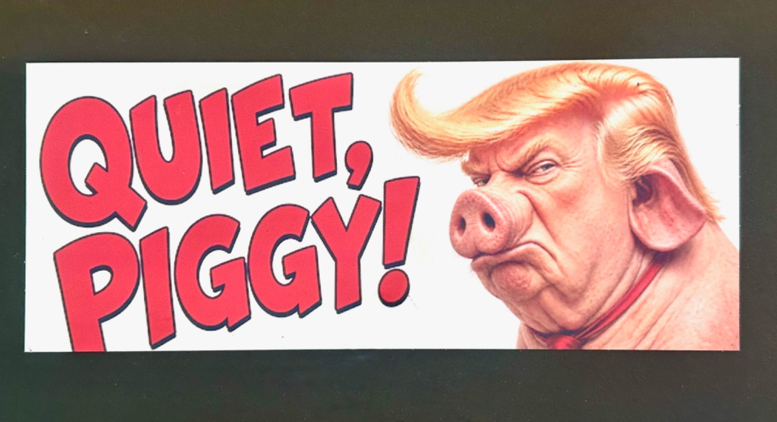 ANTI-TRUMP magnet decal ANTI-TRUMP magnet decal