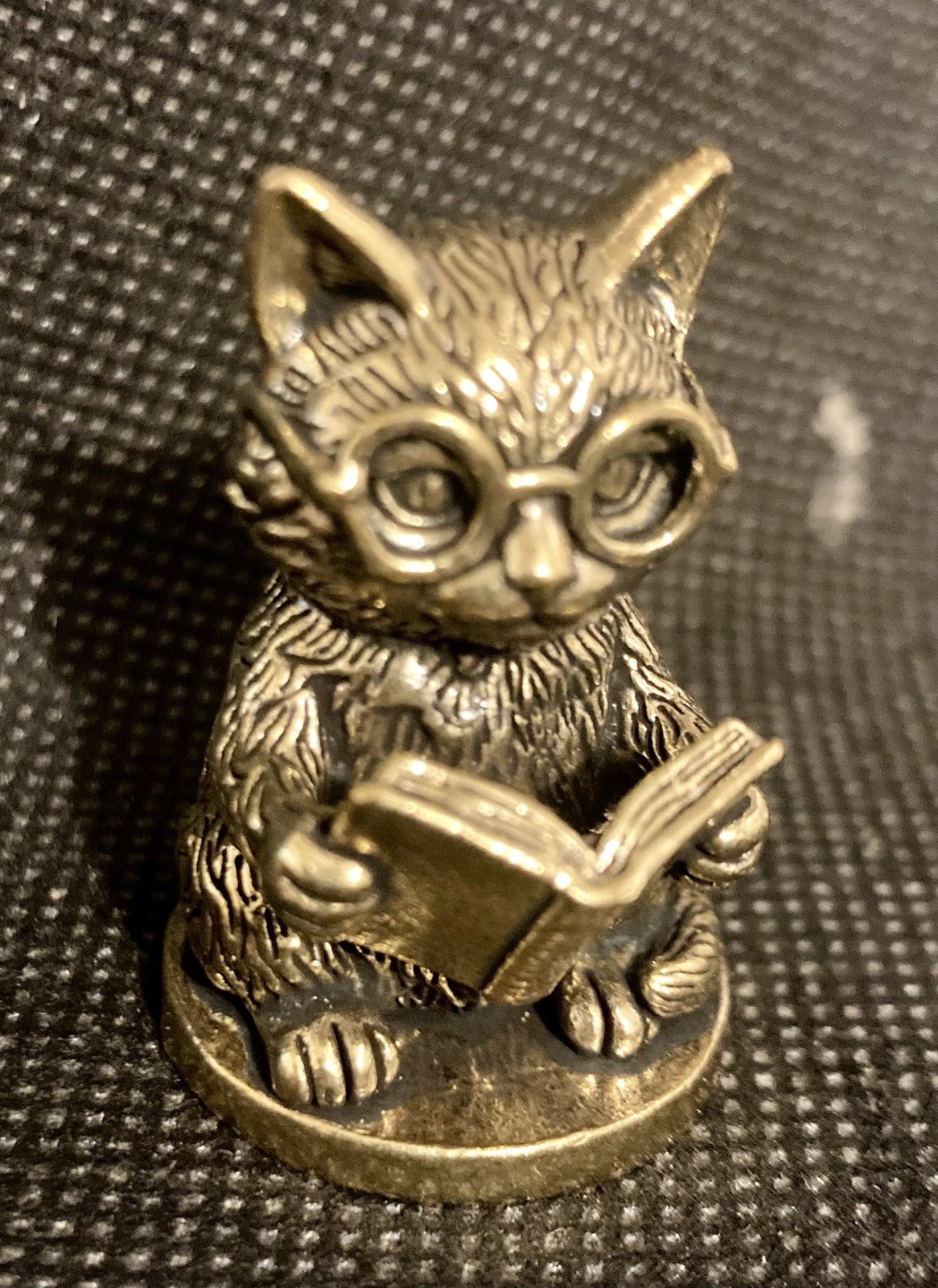 Cute Kitten Reading a Book 1 1/2\