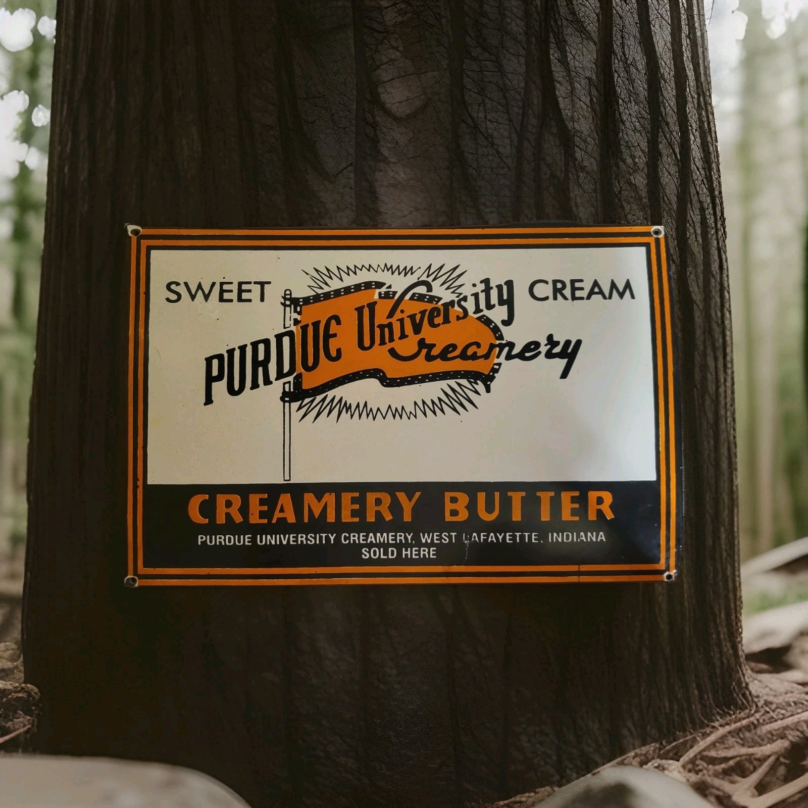 Vintage Purdue University Porcelain Sign West Lafayette Indiana Dairy (15 Vintage Purdue University Porcelain Sign West Lafayette Indiana Dairy (15