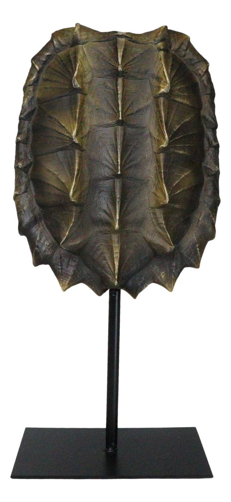 Ebros Large Alligator Snapping Turtle Shell Sculpture On Metal Mount 20.5