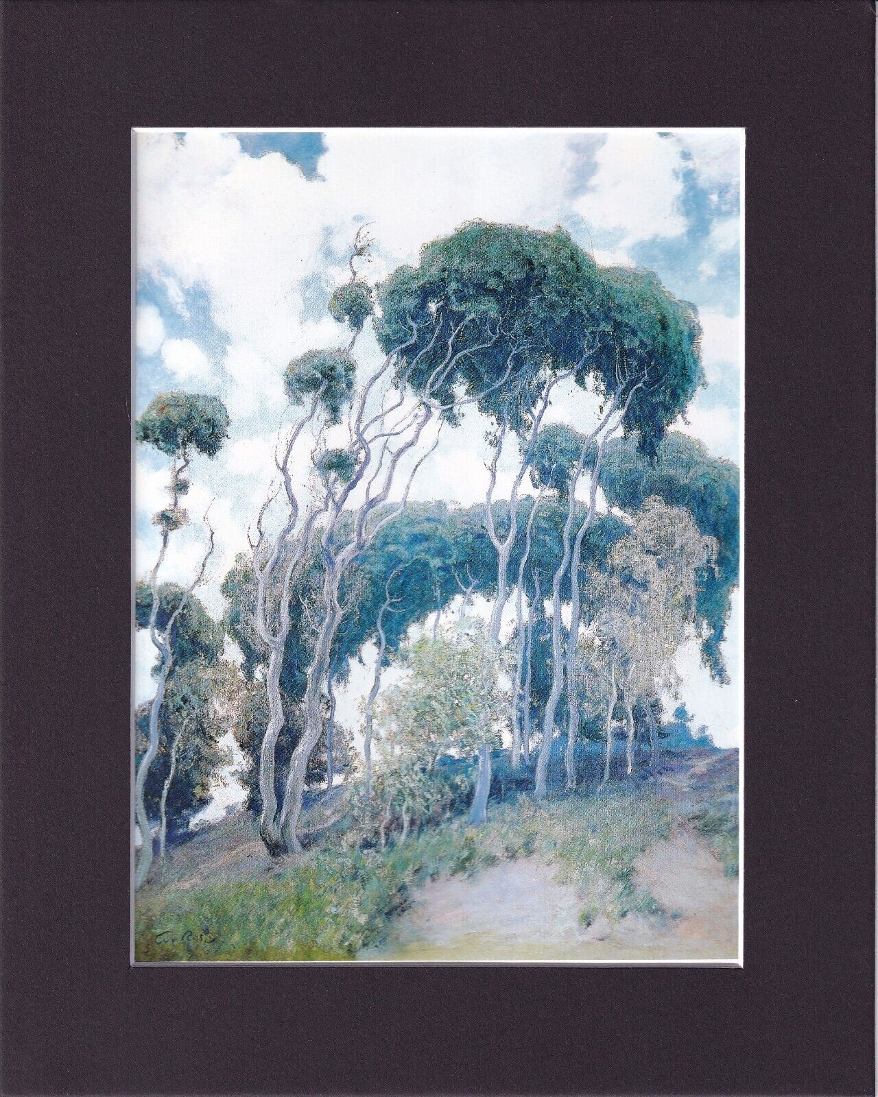 8X10 Matted Print Art Painting Picture: Guy Rose, Laguna Eucalyptus, 1917