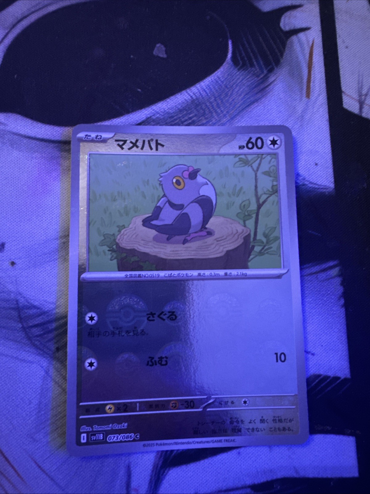 Pidove Black Bolt Japanese Pokeball Holo Pokemon Card Near Mint Pidove Black Bolt Japanese Pokeball Holo Pokemon Card Near Mint