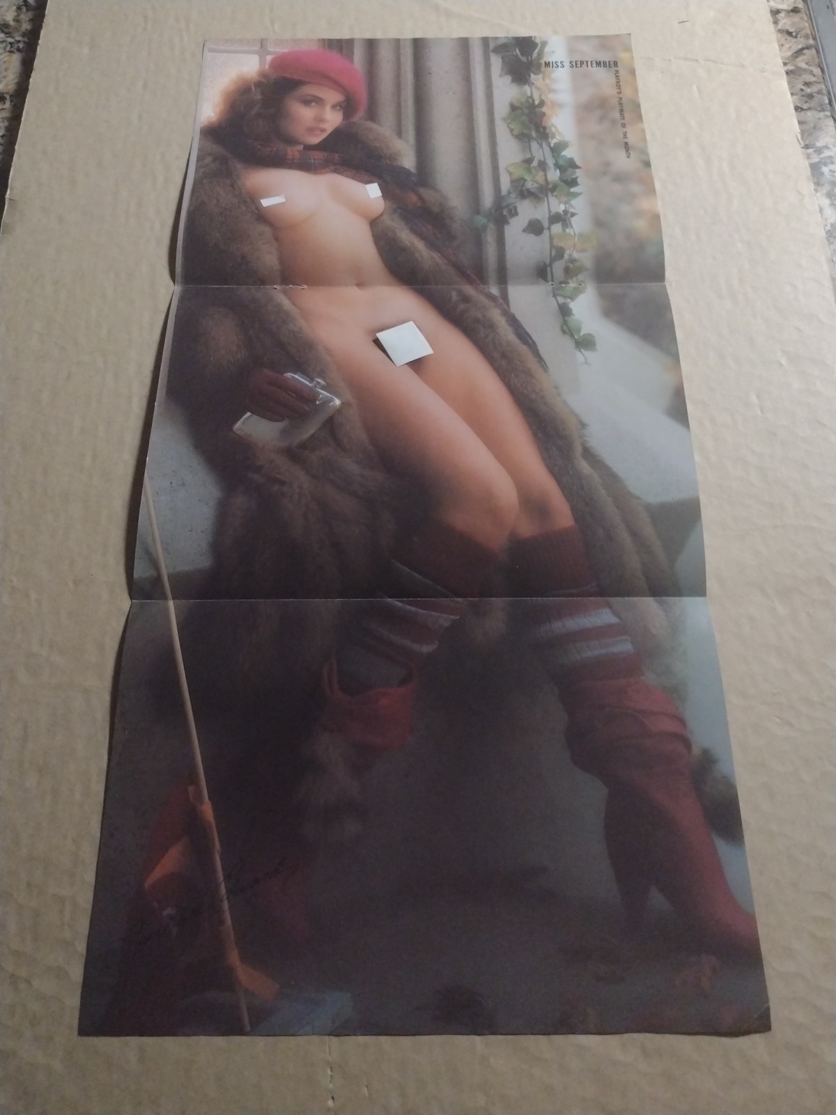 1983-Playboy Magazine Playmate Of The Month-Centerfold Pinup-Miss September-VTG
